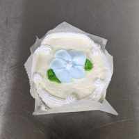 Vanilla Cake